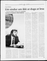 Síða 16
