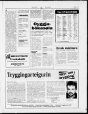 Síða 17