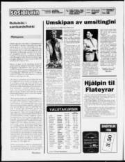 Síða 2
