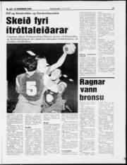 Síða 17