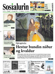 Síða 1