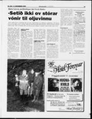 Síða 13
