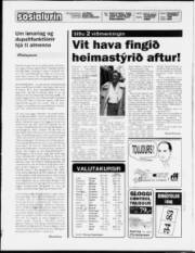 Síða 2