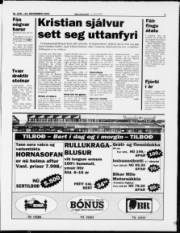 Síða 3