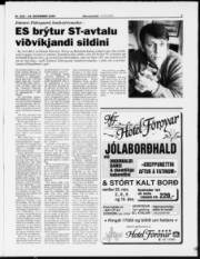 Síða 3