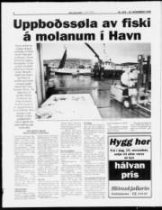 Síða 4