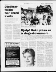 Síða 6