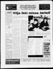 Síða 20