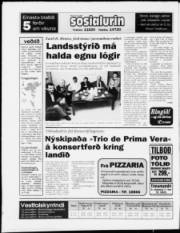 Síða 24