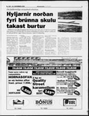 Síða 3