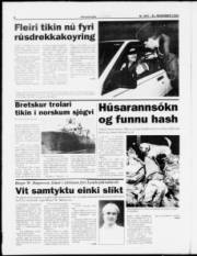 Síða 8