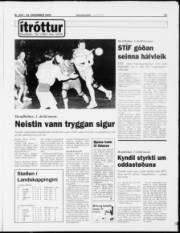 Síða 13