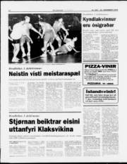 Síða 14