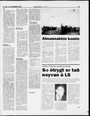 Síða 17