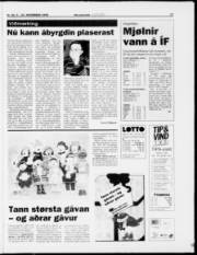Síða 19