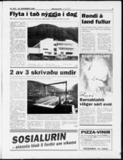 Síða 3