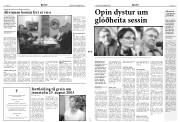 Síða 3