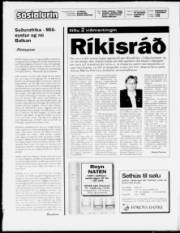 Síða 2