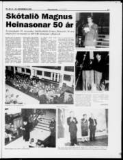 Síða 17