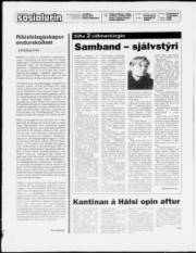 Síða 2