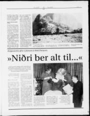 Síða 13