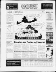 Síða 30