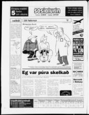 Síða 20