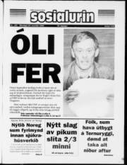 Síða 1