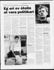 Síða 6