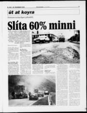 Síða 9