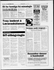 Síða 17