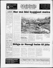 Síða 20