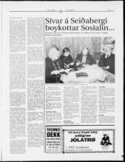 Síða 13