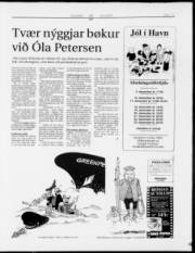 Síða 15