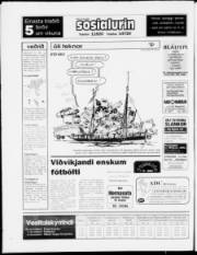 Síða 28