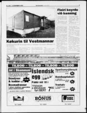 Síða 3