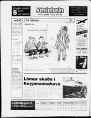 Síða 24