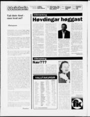 Síða 2