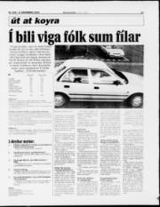 Síða 15