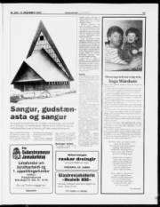 Síða 23