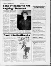 Síða 17