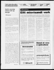 Síða 2
