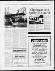 Síða 11