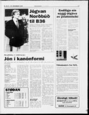 Síða 17
