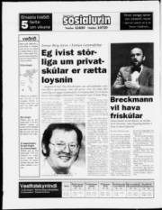 Síða 20