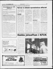 Síða 17