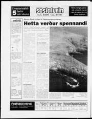 Síða 20