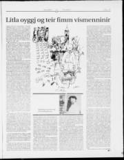 Síða 17