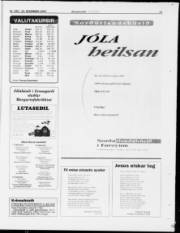 Síða 17