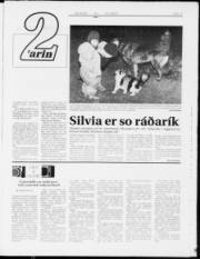 Síða 9